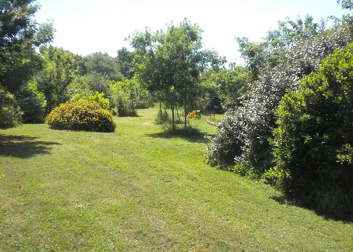 Maison De Vacances De Recailleau